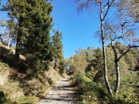 Strada per San Bernardo