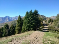 Da Monte Marca in direzione di Bocchetto Sessera