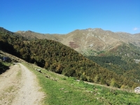 Lo sterrato che conduce all'Alpe Artignaga