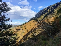 Sentiero che collega l’Alpe Moncerchio con la Bocchetta Luvera