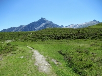 Sentiero che attraversa la Bruchalp - Vista sul Piz Beverin