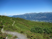 Il bel sentiero che dal Bischolapass conduce alla Porteiner Alp
