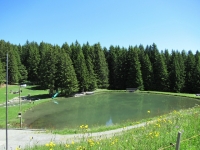 Oberurmein - Bella area attezzata