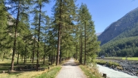 IMG_20260808_102401904_HDR