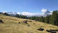 IMG_20260808_115357507_HDR