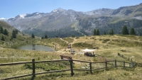 IMG_20260808_121037795_HDR
