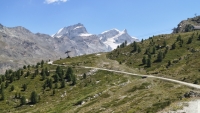 IMG_20260808_124655040_HDR