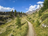 IMG_20260808_172829726_HDR