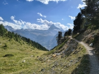 IMG_20260808_172925846_HDR