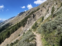 IMG_20260808_174256822_HDR