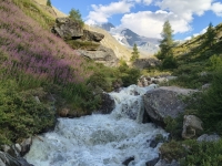 IMG_20260808_180507782_HDR