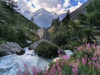 IMG_20260808_180526268_HDR