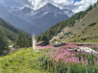 IMG_20260808_181102204_HDR