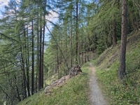 IMG_20260808_182150732_HDR
