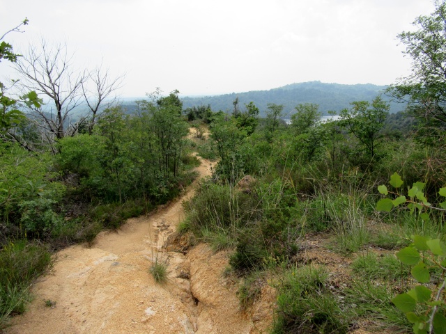 Il sentiero M41 che porta al lago delle Piane