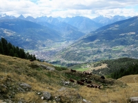 La conca di Aosta dall'Alpe di Viou