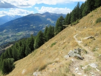 Il sentiero nr.105 che parte dall'Alpe di Viou