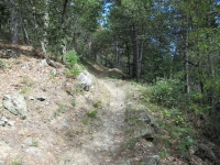 Il sentiero nr.105 che scende a valle