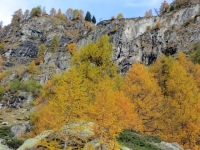 Colori autunnali in Val di Carassino