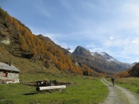 Val di Carassino, nei pressi dell'omonima Alpe
