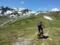 Variante Giugno 2025