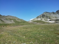 Variante Giugno 2025