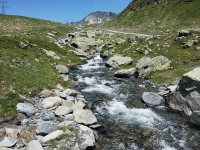 Variante Giugno 2025