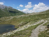 Variante Giugno 2025