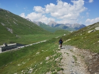 Variante Giugno 2025