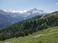 Variante Giugno 2025