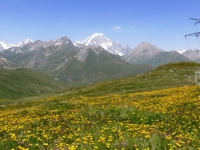 Panorama sul Monte Bianco dai prati circostanti il lago Longet