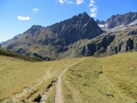 Il sentiero prativo che sale dall'Alpe di Cignana alla Finestra