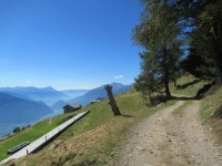 Bello sterrato che collega l'Alpe Poverzone con il Lago di Colina