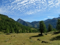Alpe nei pressi del Furggupass