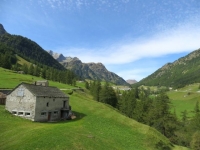 Alpeggi circostanti Simplon Dorf