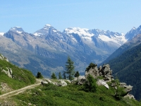 Dalla Faldumalp ad Ober Meiggen - Grandi Panorami sui rilievi della Lötschental