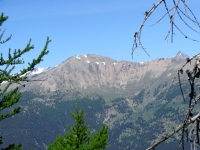 Vista sul monte Jafferau dalla Madonna del Cotolivier