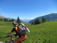 Salendo al Rifugio Alpino La Chardouse