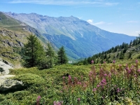 Panorama sui rilievi italiani di confine (Alpe Tour) salendo al Moncenisio
