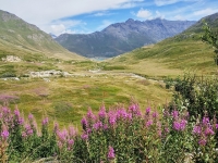 Nella valle del Piccolo Moncenisio