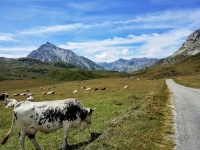 Nella valle del Piccolo Moncenisio in direzione di Les Coulours