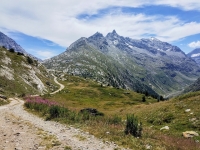 Lo sterrato che si inoltra nel vallone di Savine