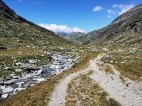Il sentiero per il lago Savine
