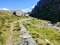 Sentiero/mulattiera che al Col Clapier scende all'interno della Val Clarea