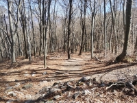 Mondonico-Piambello-DHMarziana13