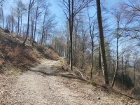 Mondonico-Piambello-DHMarziana17