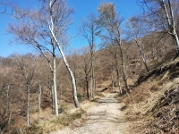 Mondonico-Piambello-DHMarziana18