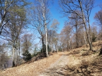 Mondonico-Piambello-DHMarziana19