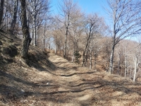 Mondonico-Piambello-DHMarziana26