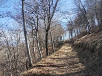 Mondonico-Piambello-DHMarziana27